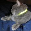 Cat Reflector Collar