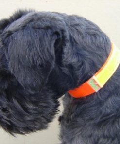 Dog Reflector Collar